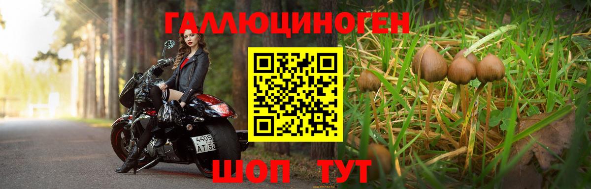 Галлюциногенные грибы Psilocybe  Галлюциногенные грибы ЛСД  Вход с VPN  Лабытнанги 